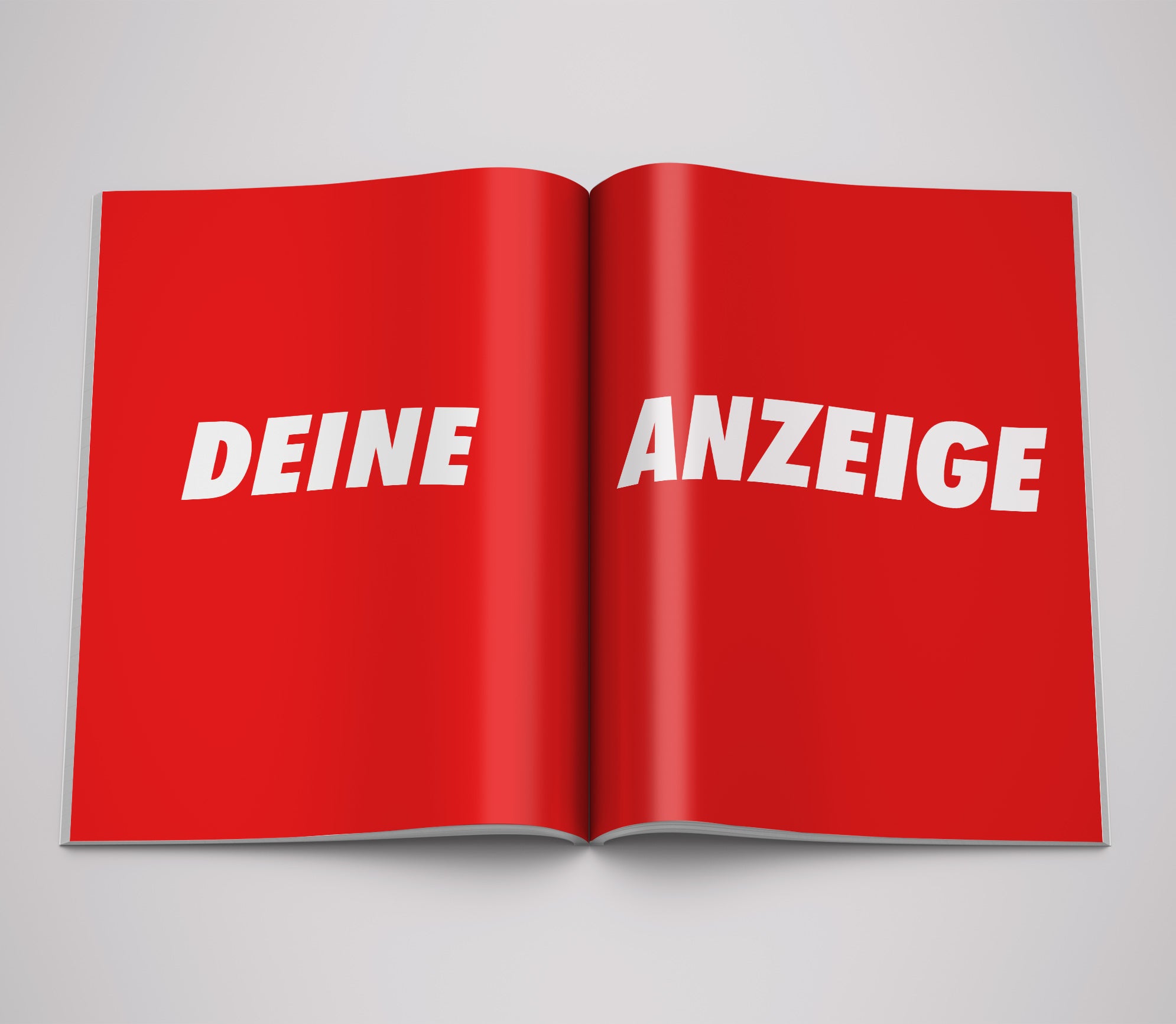 1 Doppelseite (A3) Anzeige