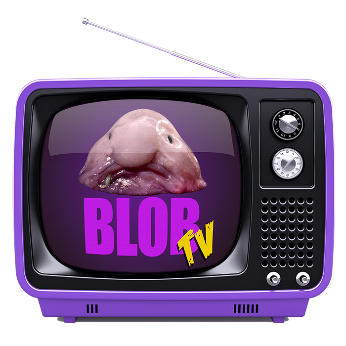 BlobTV Zugangspass (1 Jahr)