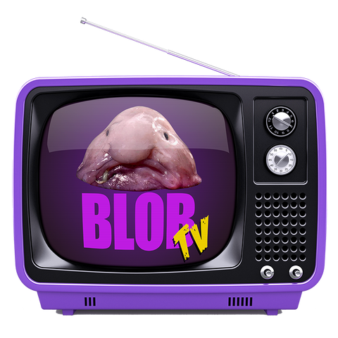 BlobTV Zugangspass (1 Jahr)