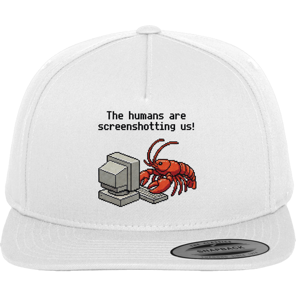 The humans are screenshotting us! - Premium Snapback